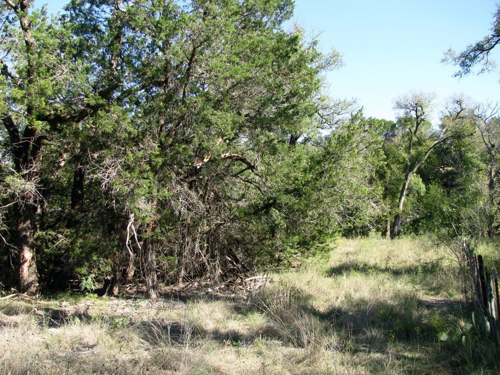 10.18 acres in Coryell County - photo 20