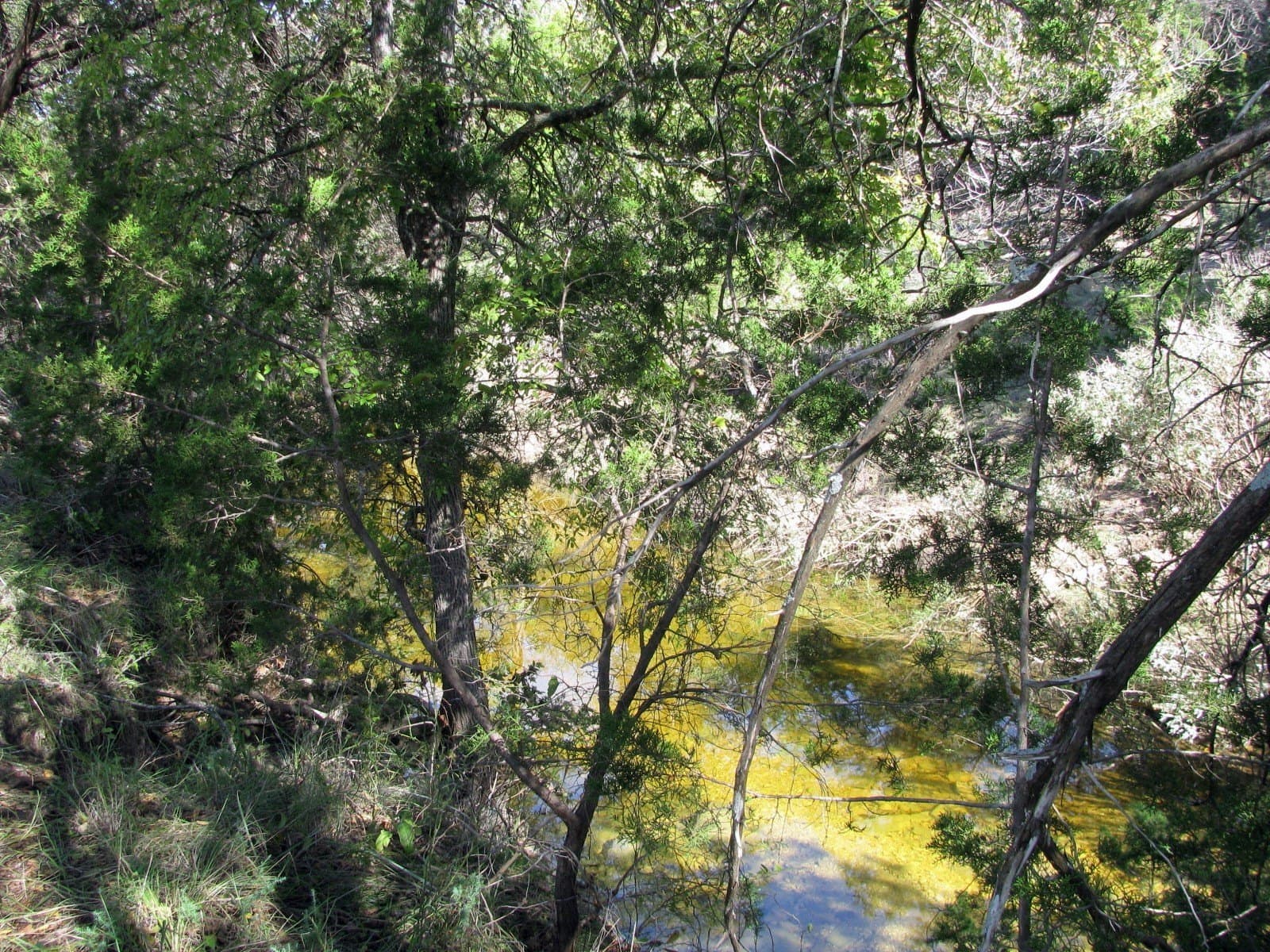 10.18 acres in Coryell County - photo 9