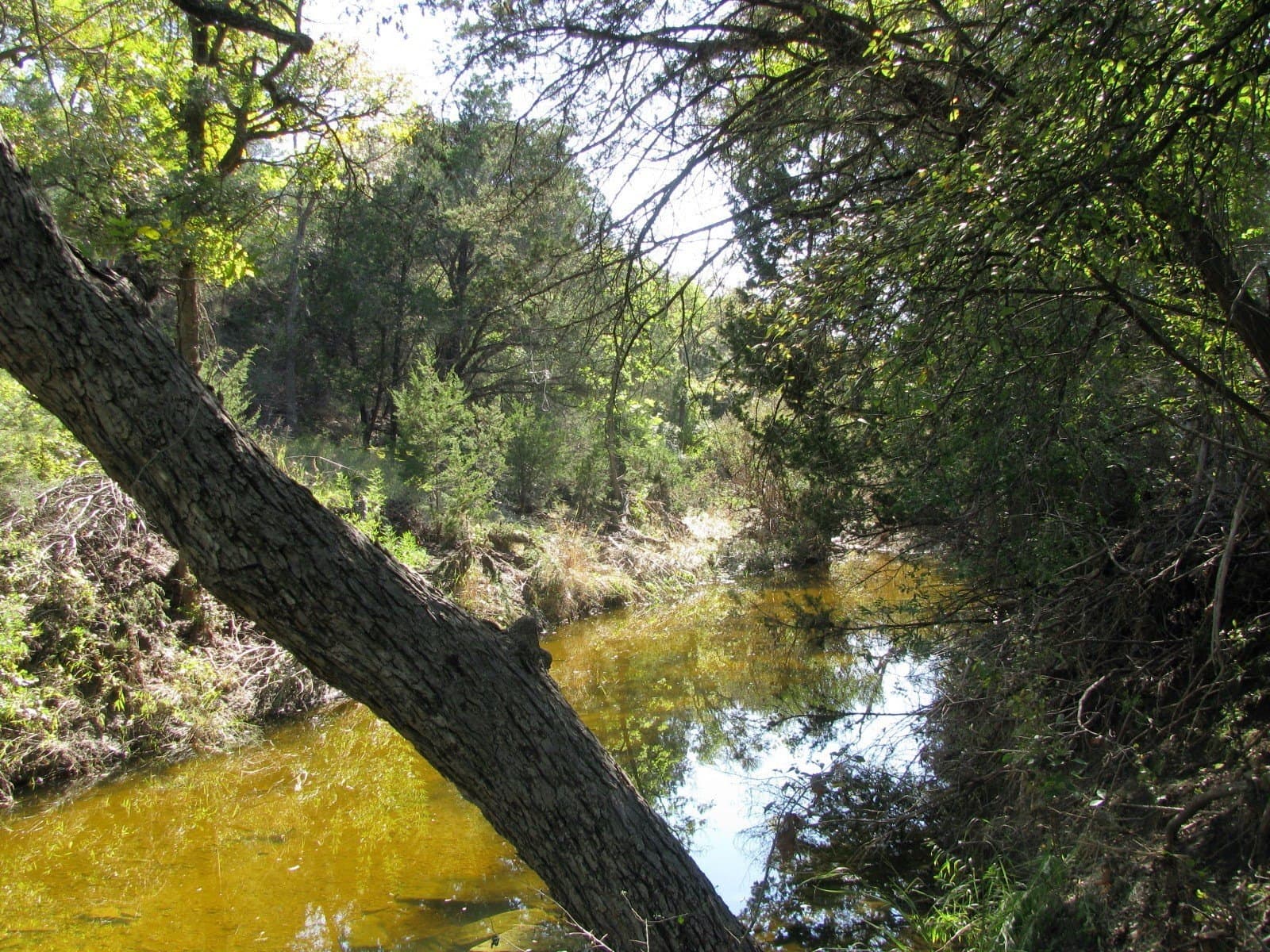 10.18 acres in Coryell County - photo 32