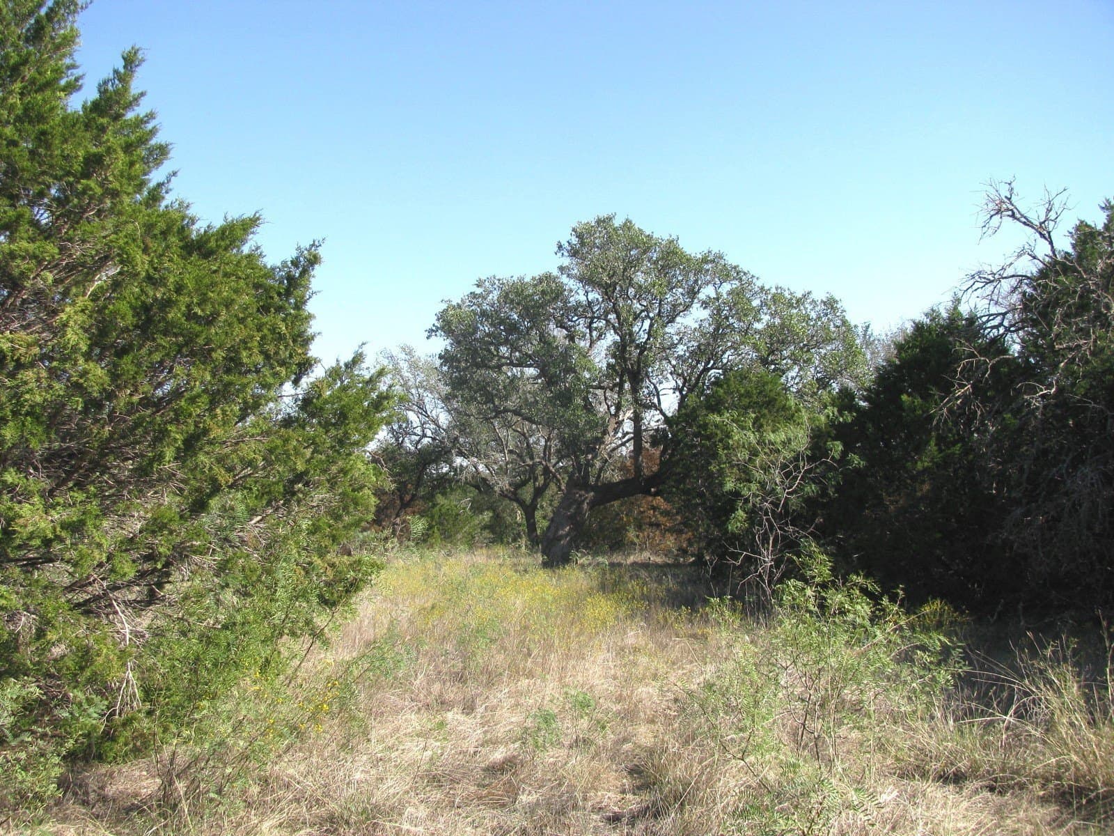 10.18 acres in Coryell County - photo 36