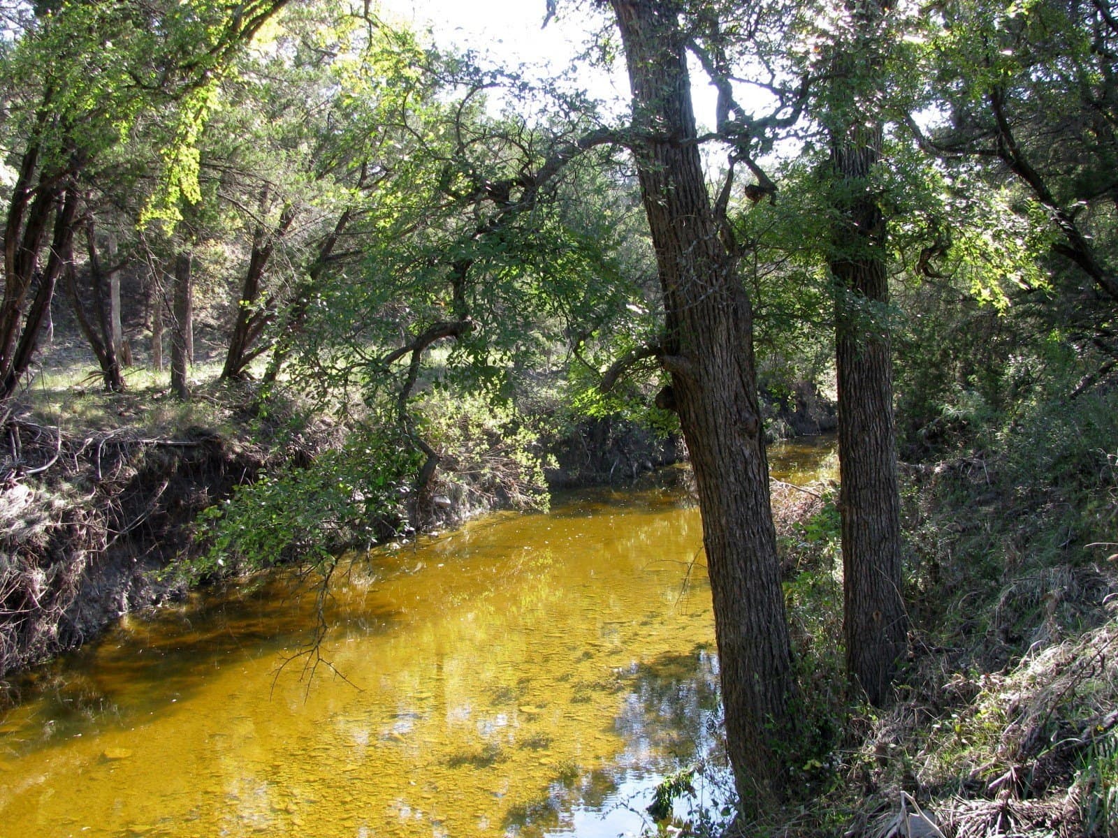 10.18 acres in Coryell County
