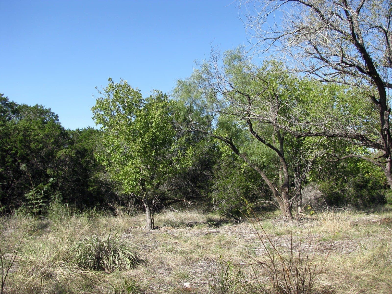 10.18 acres in Coryell County - photo 26