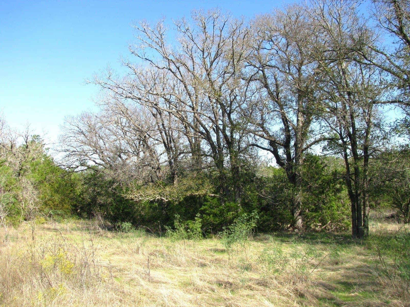 10.18 acres in Coryell County - photo 16
