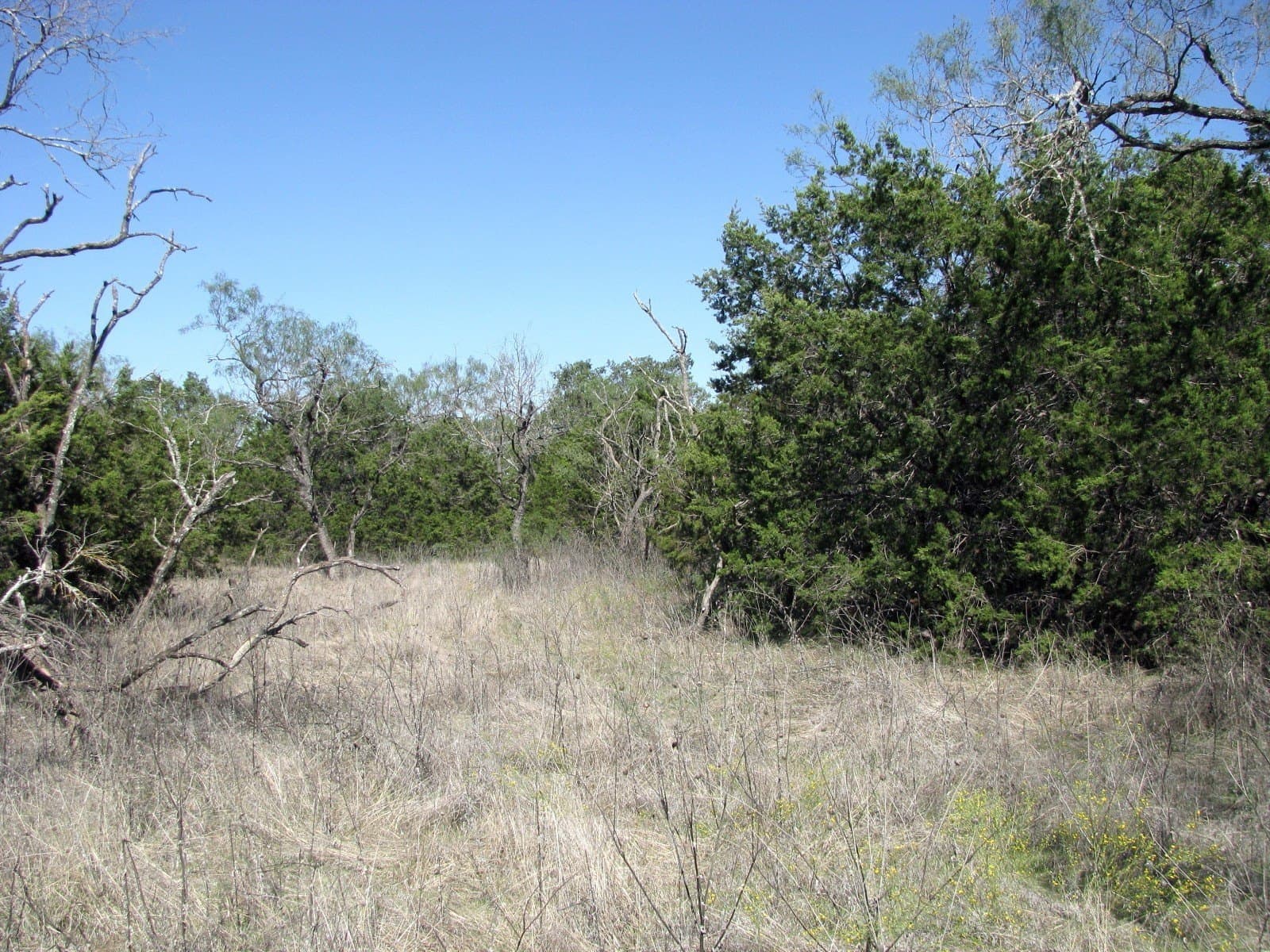10.18 acres in Coryell County - photo 18
