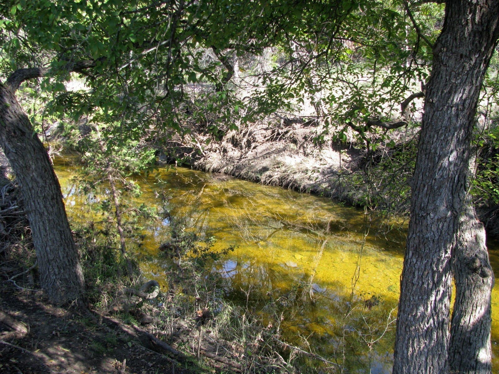 10.18 acres in Coryell County - photo 22