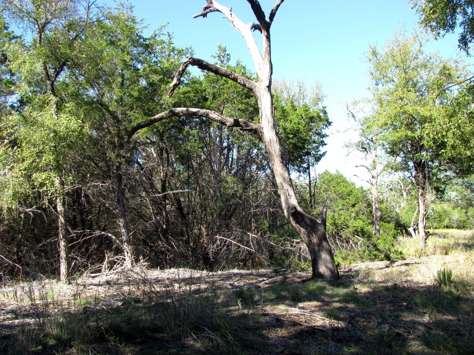 10.18 acres in Coryell County - photo 31