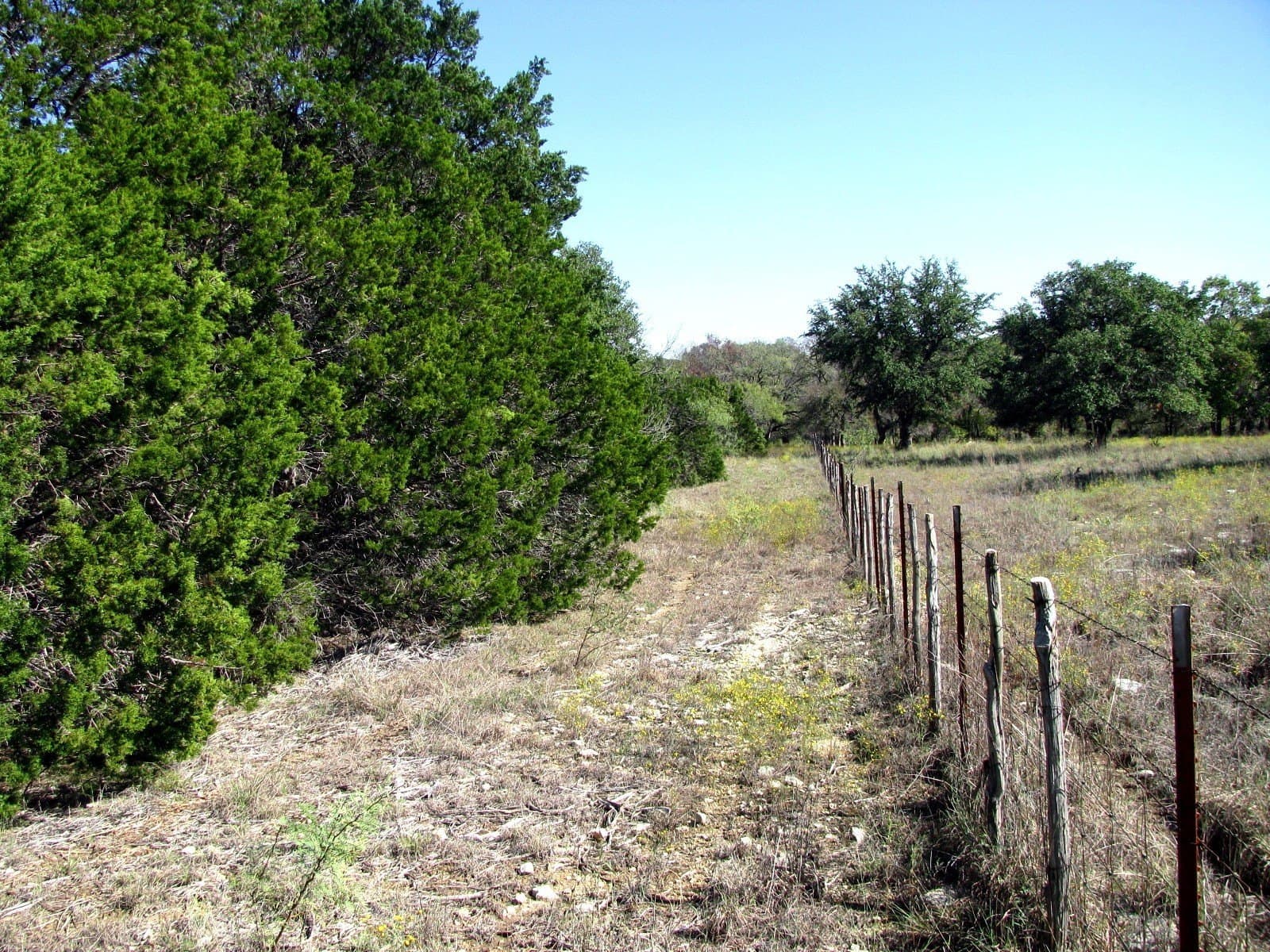 10.18 acres in Coryell County featured view