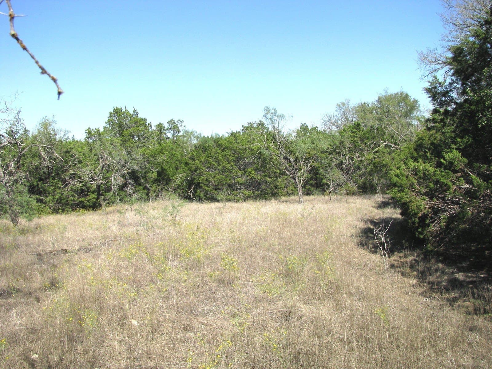 10.18 acres in Coryell County - photo 12