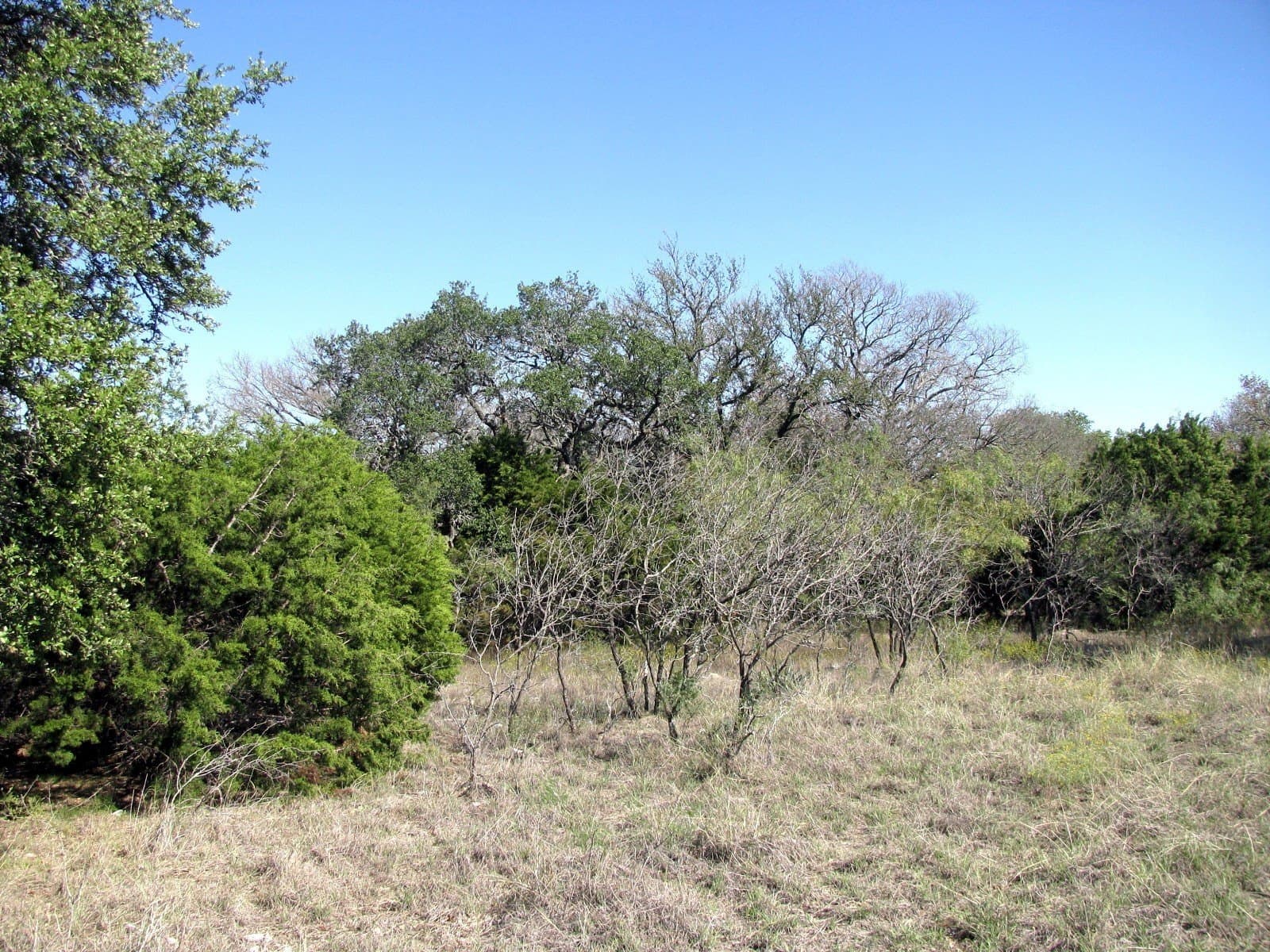 10.18 acres in Coryell County - photo 11