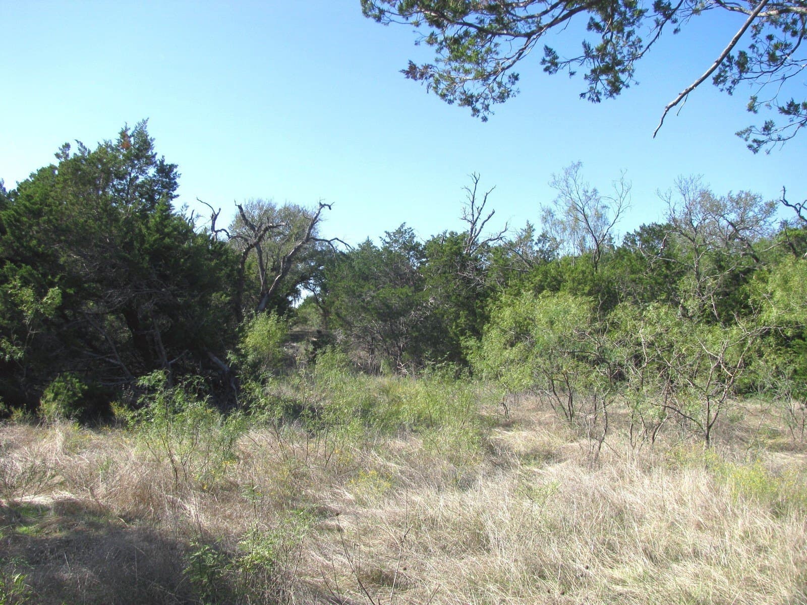 10.18 acres in Coryell County - photo 33
