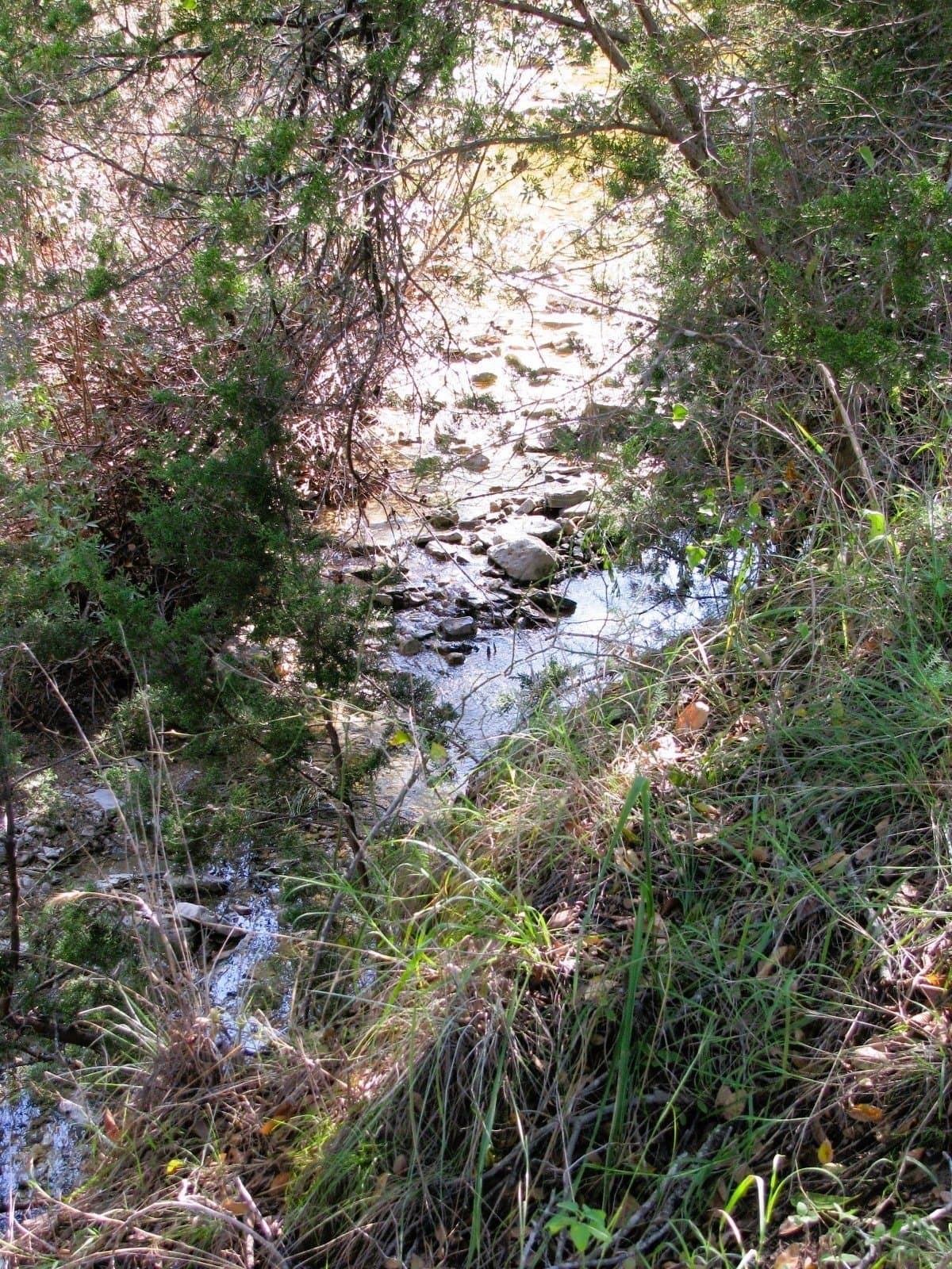 10.18 acres in Coryell County - photo 25