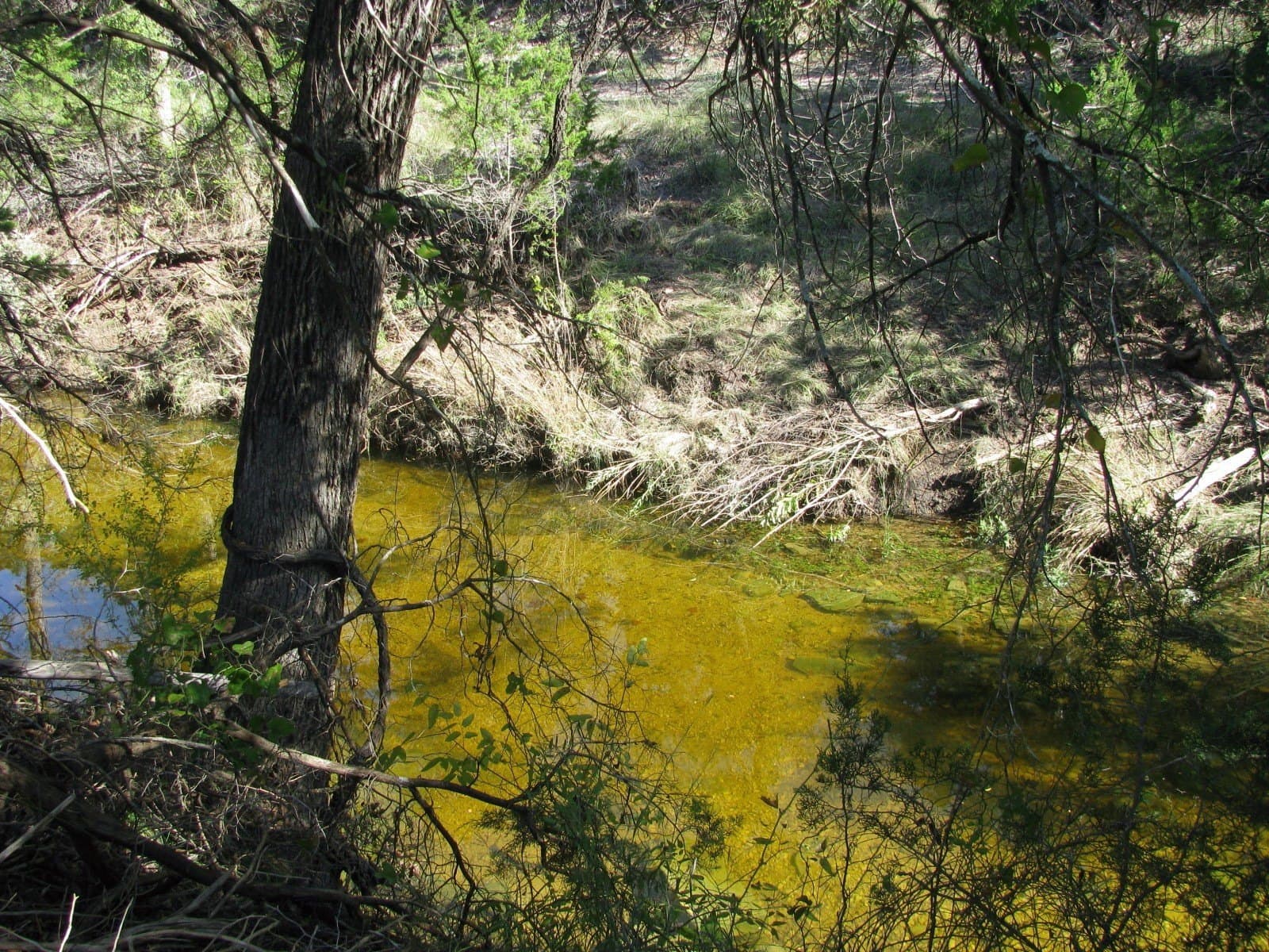 10.18 acres in Coryell County - photo 15