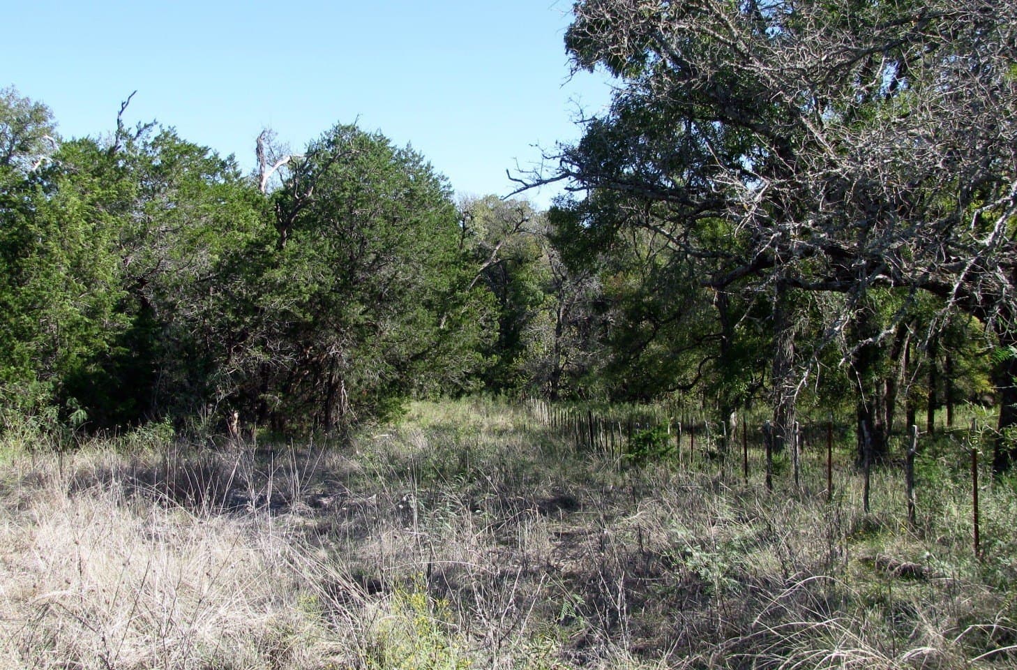 10.18 acres in Coryell County - photo 19