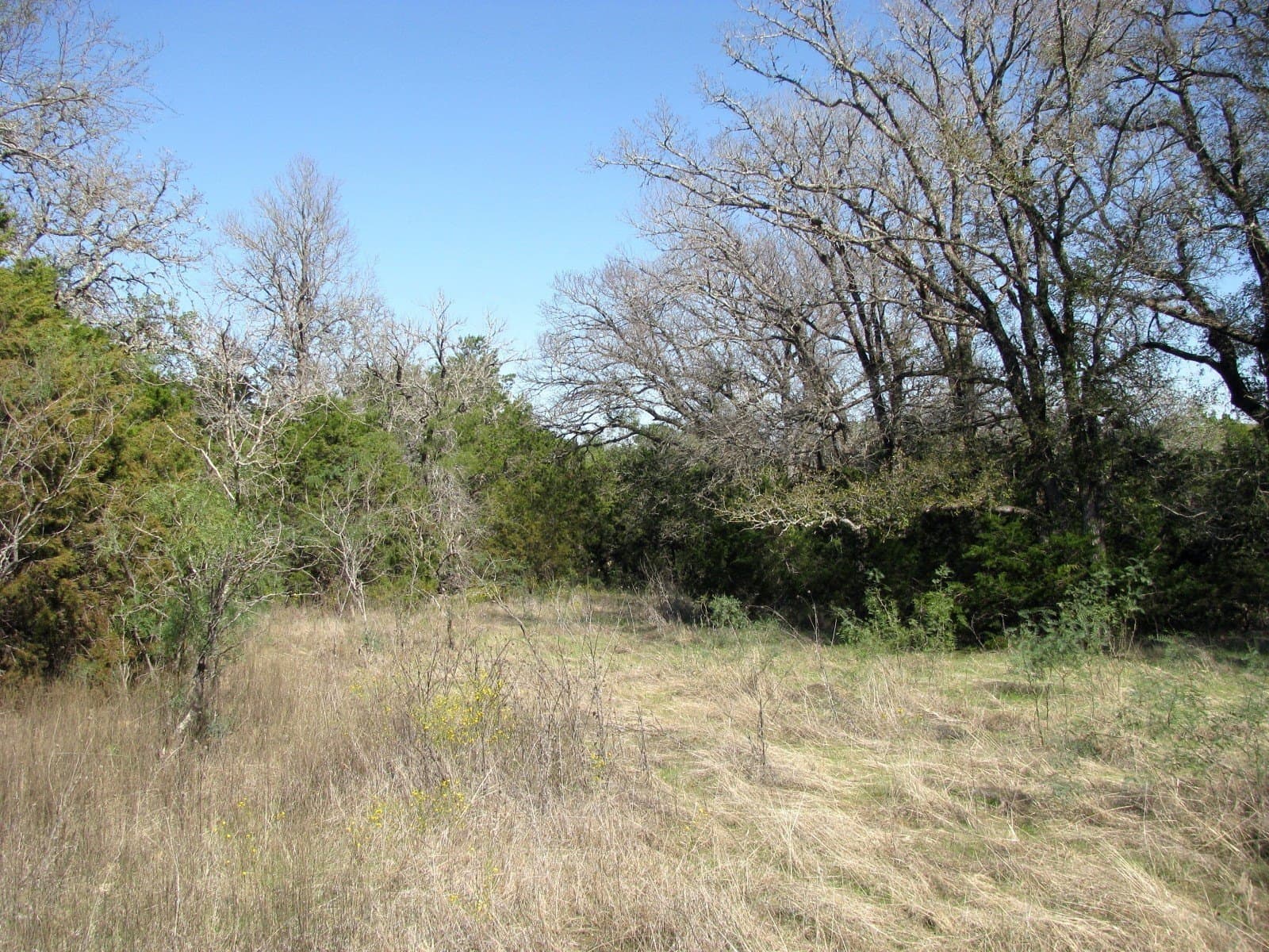 10.18 acres in Coryell County - photo 23