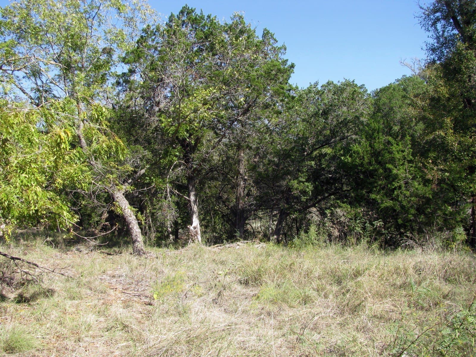 10.18 acres in Coryell County - photo 6