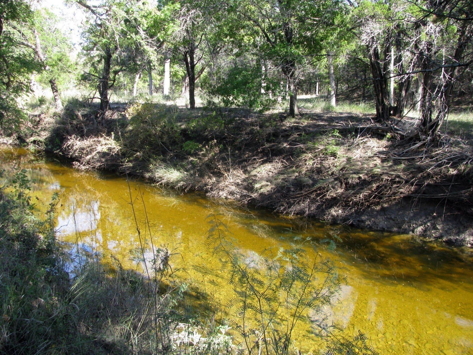 10.18 acres in Coryell County gallery image 3