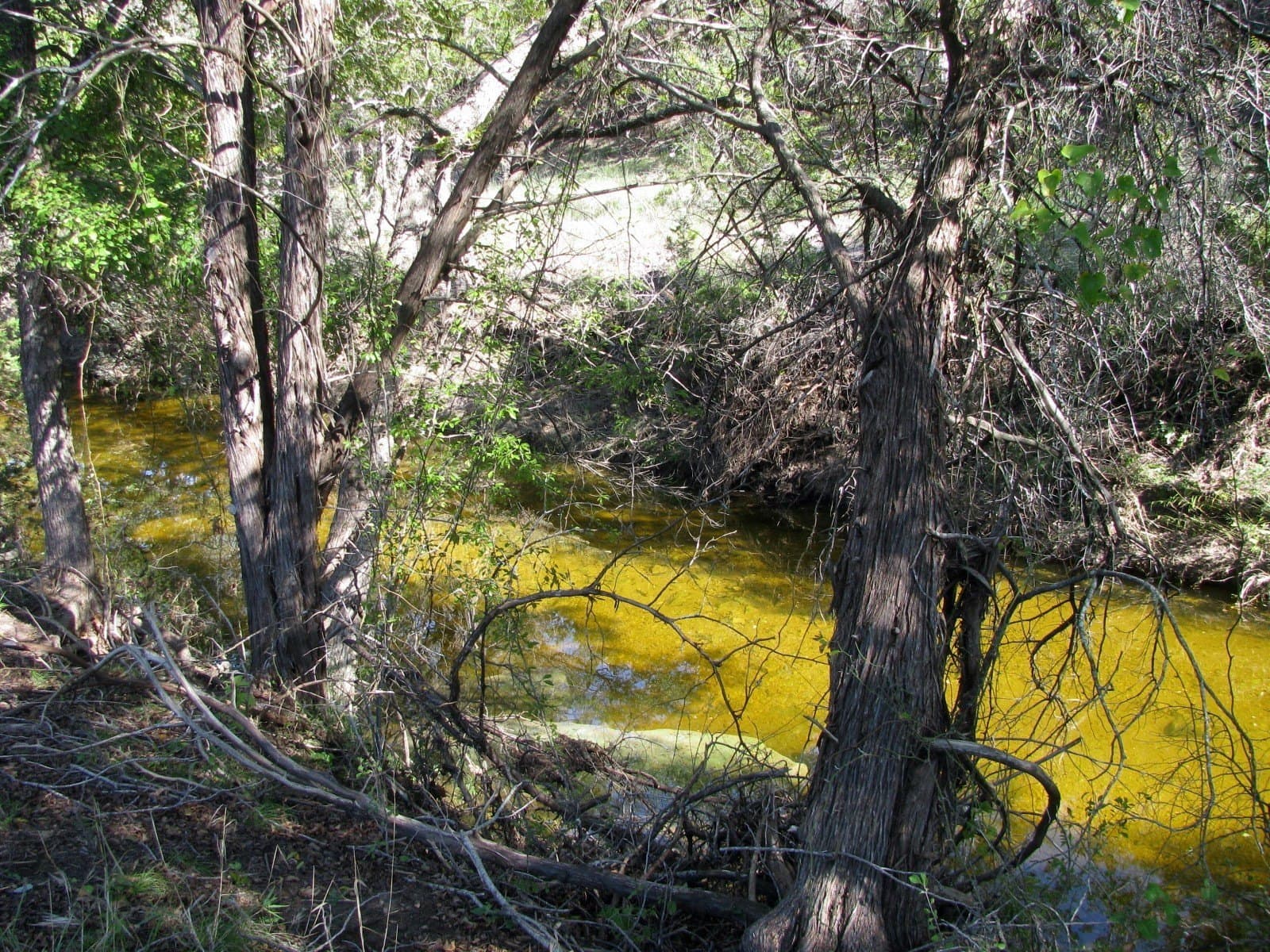 10.18 acres in Coryell County - photo 28