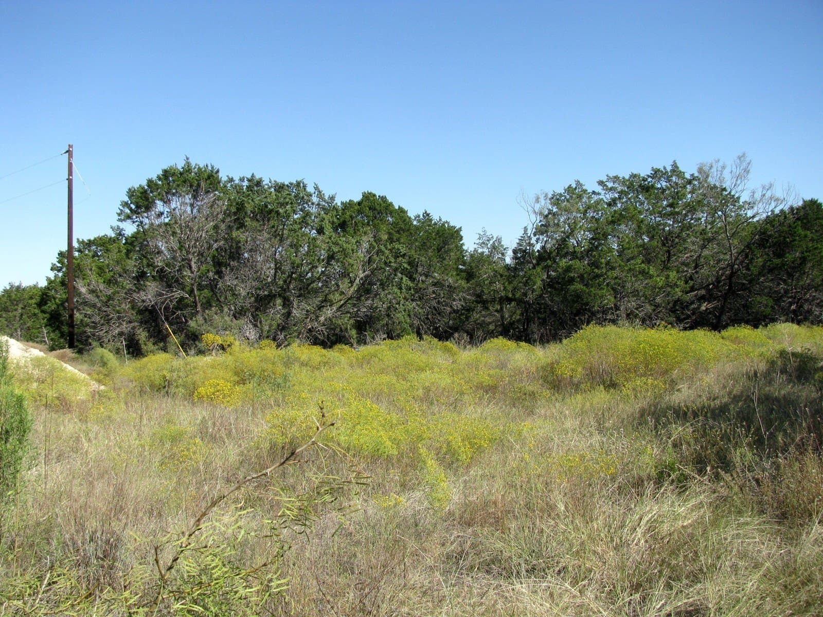 10.18 acres in Coryell County - photo 10