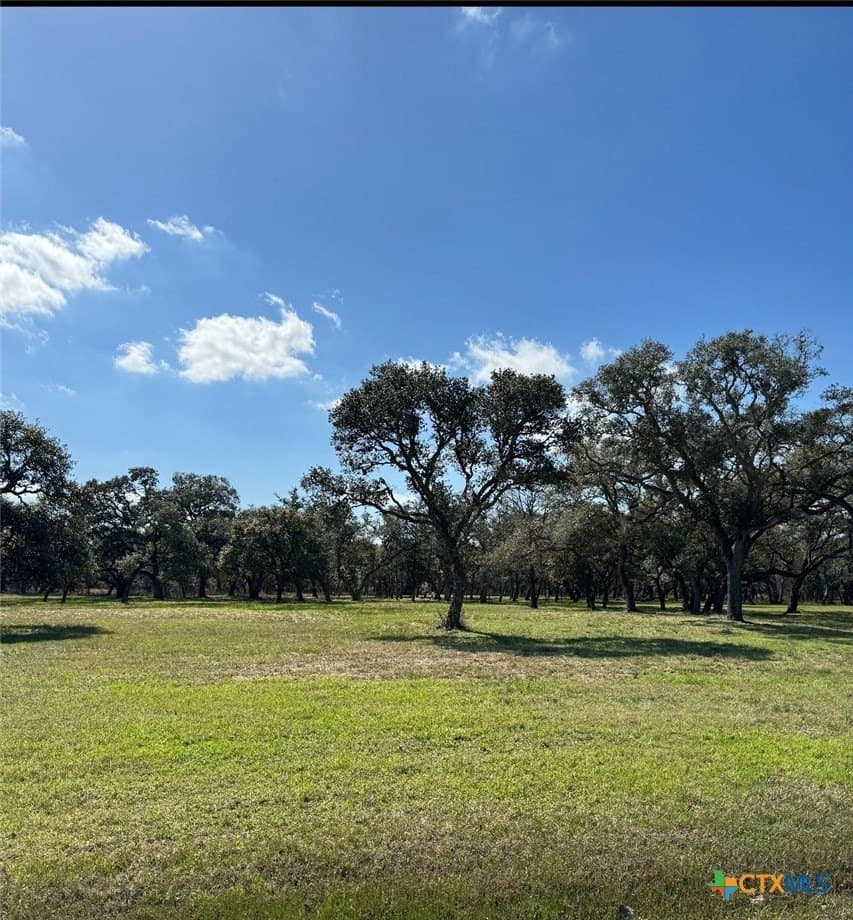 2.22 acres in Victoria County - photo 7