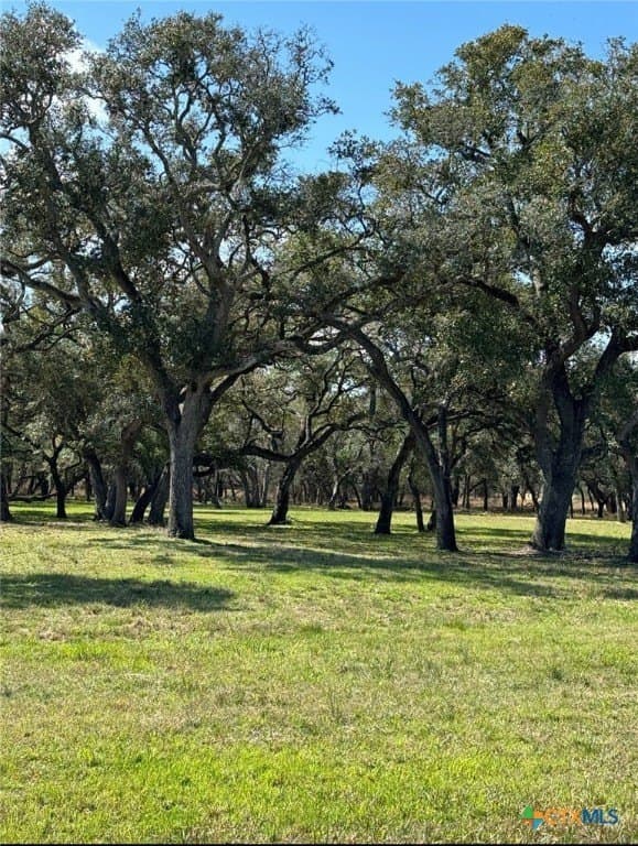 2.22 acres in Victoria County gallery image 4