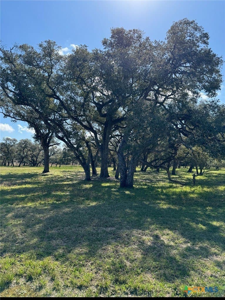 2.22 acres in Victoria County gallery image 2