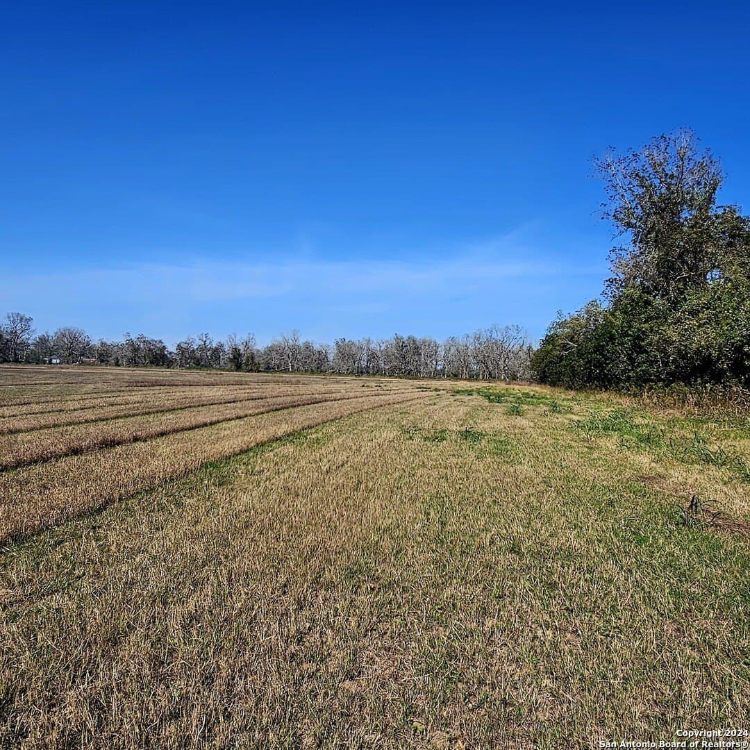 44 acres in Wharton County gallery image 4