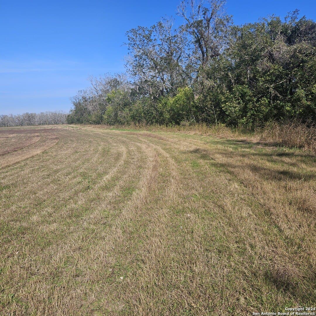 44 acres in Wharton County featured view