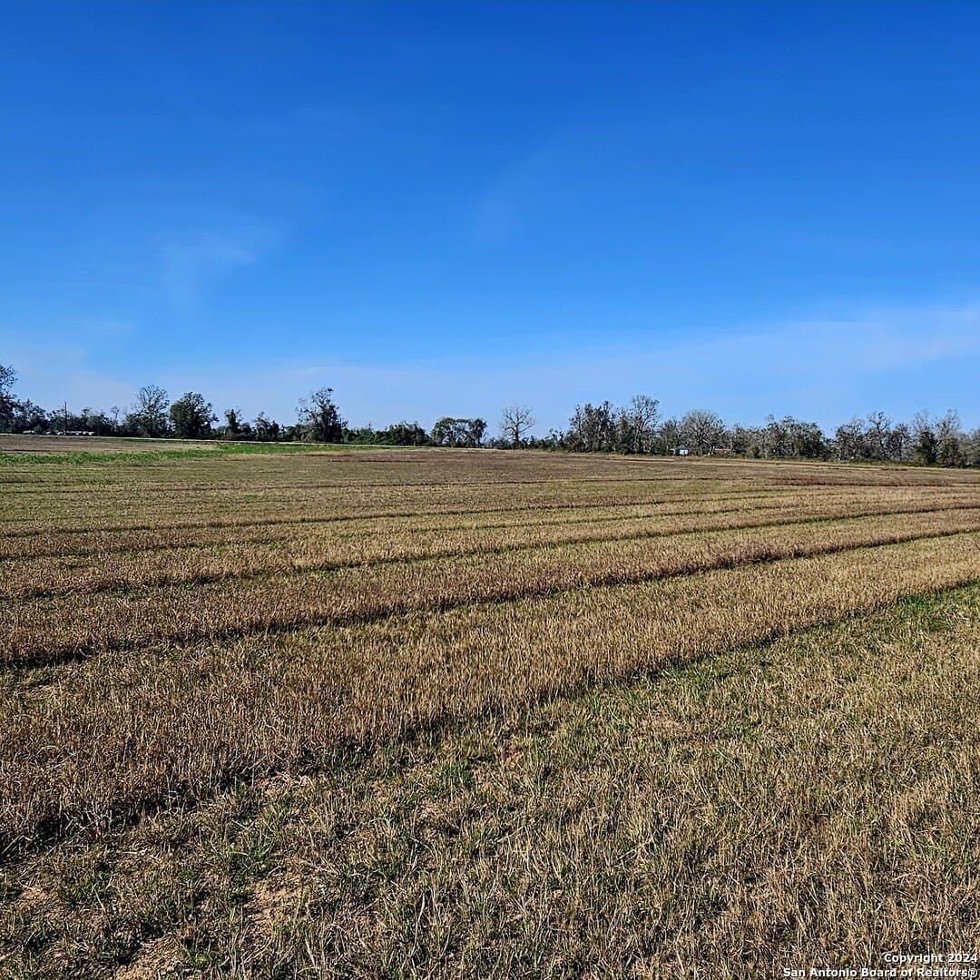 44 acres in Wharton County gallery image 3