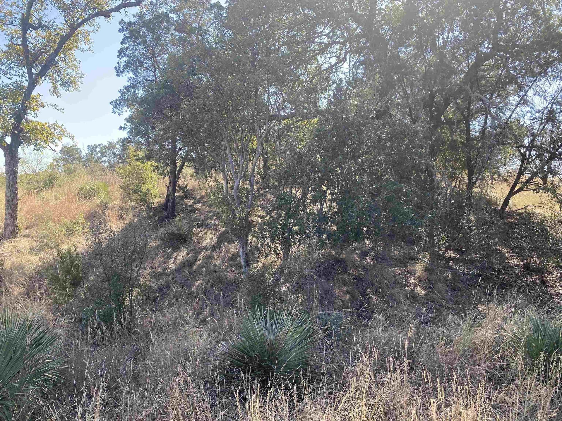 0.25 acres in Llano County - photo 3