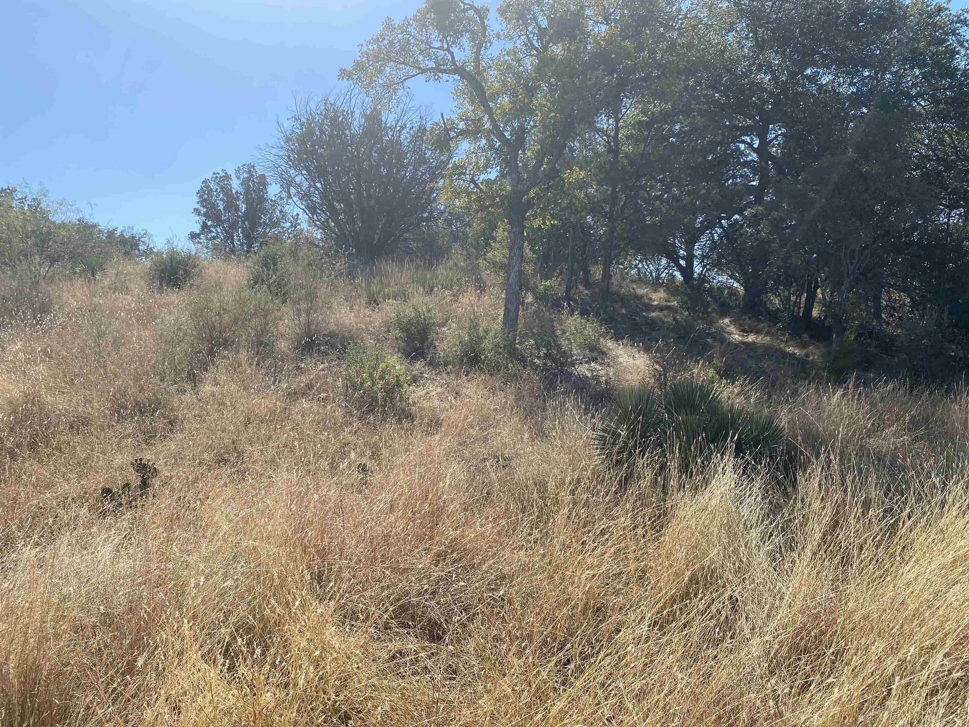 0.25 acres in Llano County - photo 2