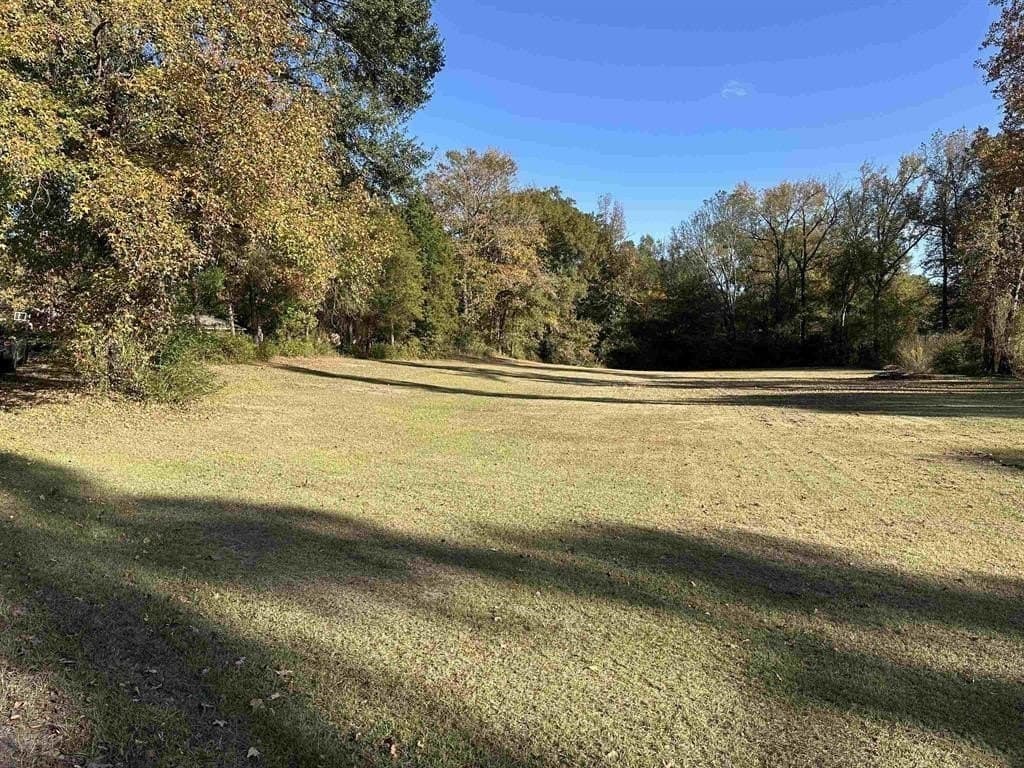 1 acres in Titus County - photo 2