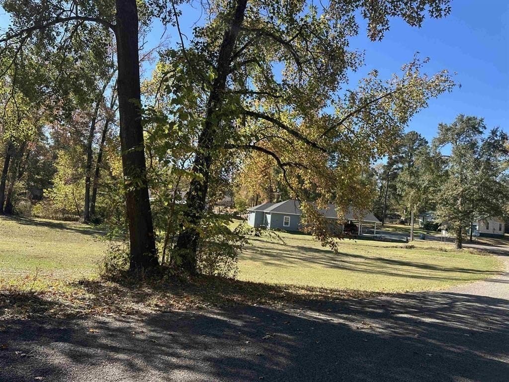 1 acres in Titus County - photo 6