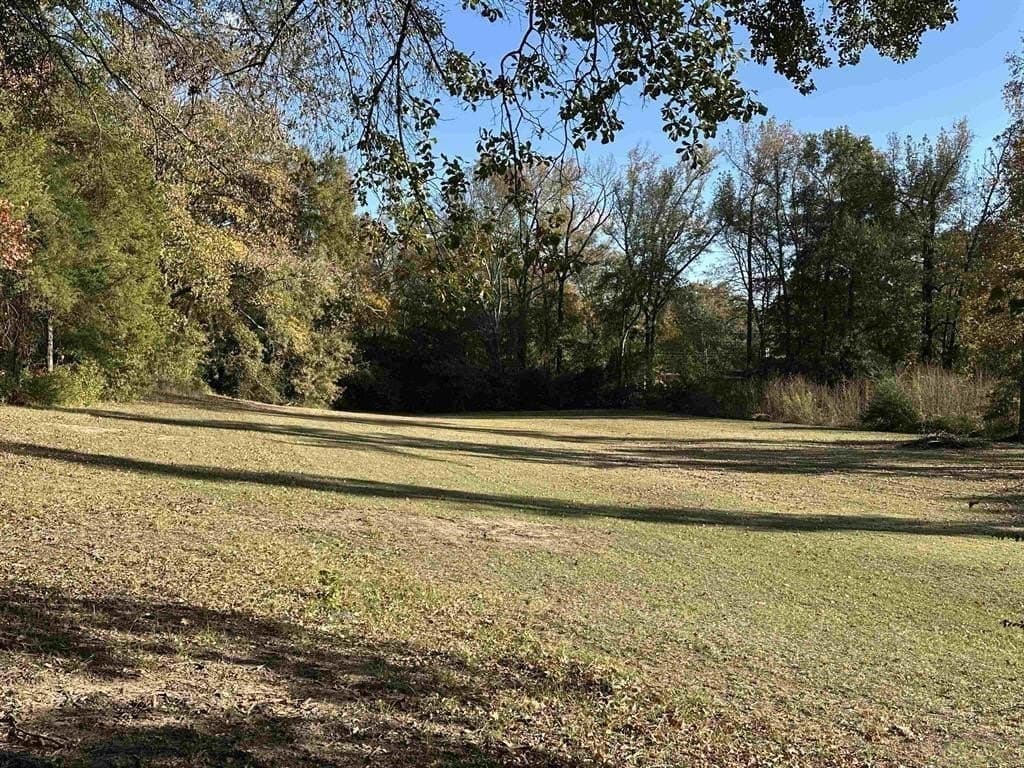 1 acres in Titus County - photo 3