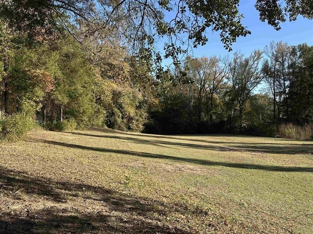 1 acres in Titus County - photo 4