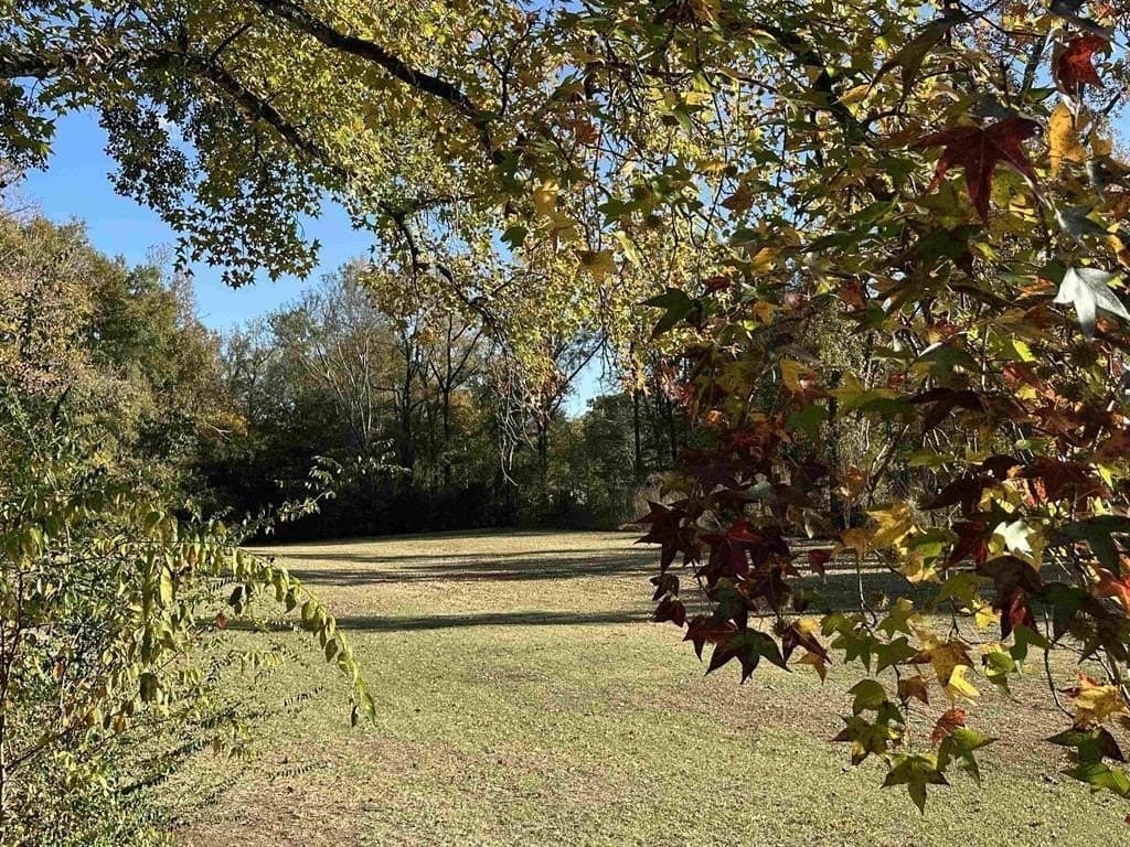 1 acres in Titus County - photo 5