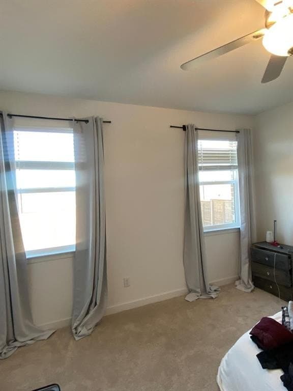 14 acres in Dallas County gallery image 3