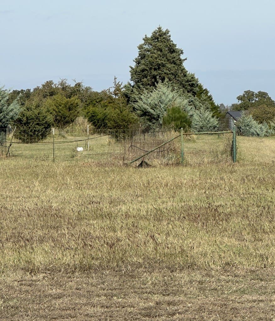 0.51 acres in Gillespie County gallery image 4
