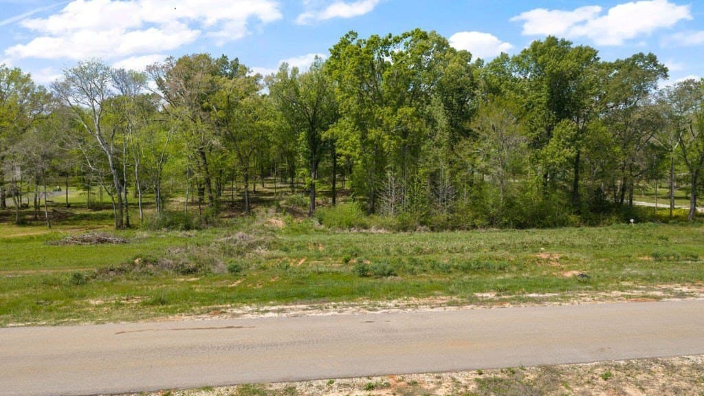 4 acres in Texas County gallery image 2