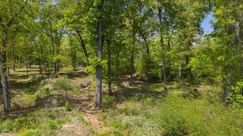 4 acres in Texas County gallery image 4