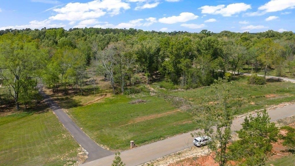 4 acres in Texas County gallery image 3