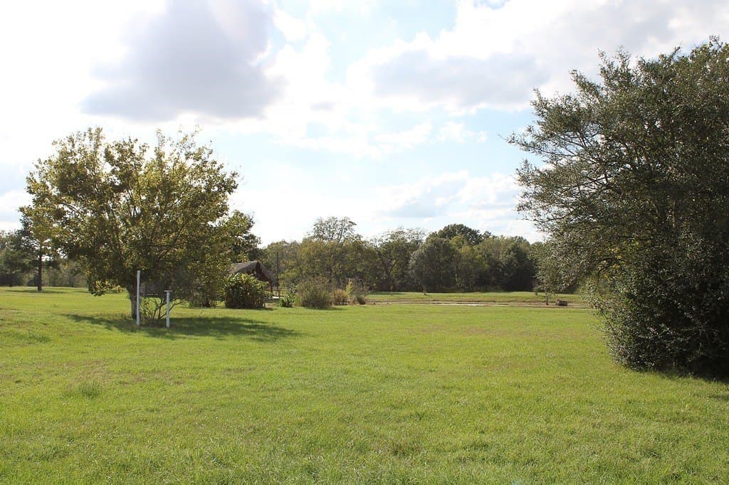 25.9 acres in Waller County - photo 13