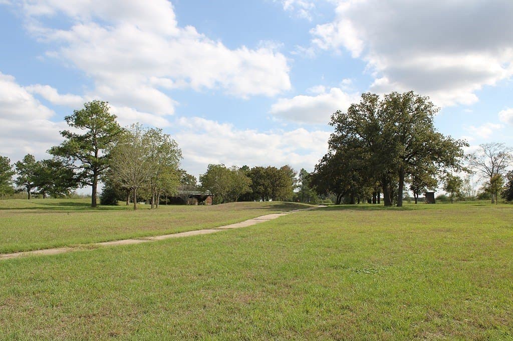 25.9 acres in Waller County - photo 21