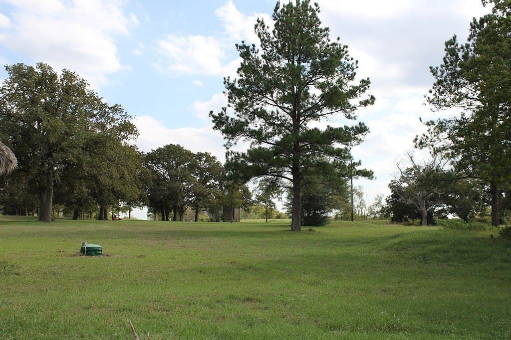 25.9 acres in Waller County - photo 22