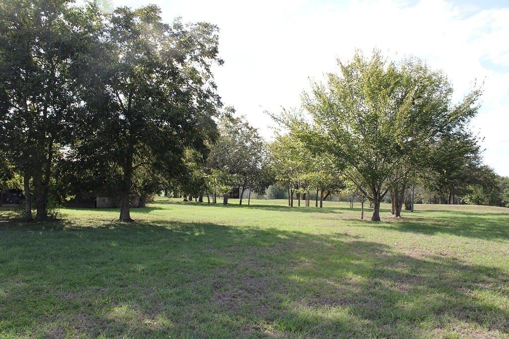 25.9 acres in Waller County - photo 9