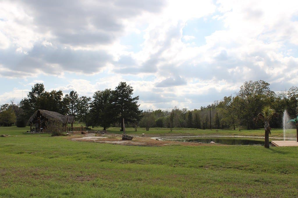 25.9 acres in Waller County - photo 24