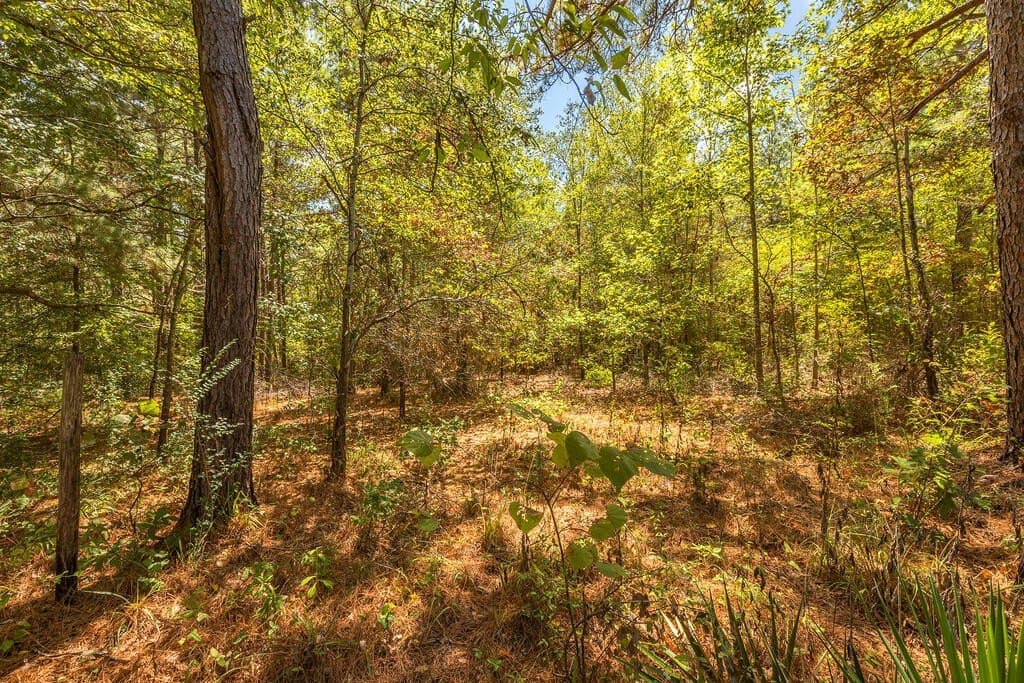 4.66 acres in Texas County - photo 7