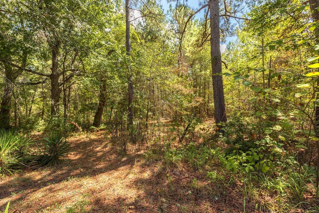 4.66 acres in Texas County - photo 2