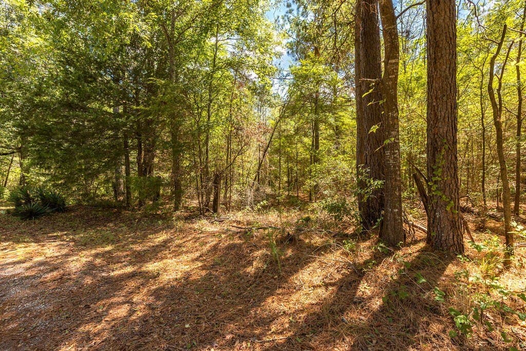 4.66 acres in Texas County - photo 9