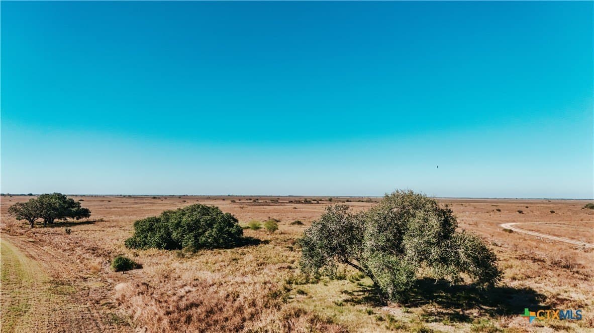 65.29 acres in Victoria County - photo 7