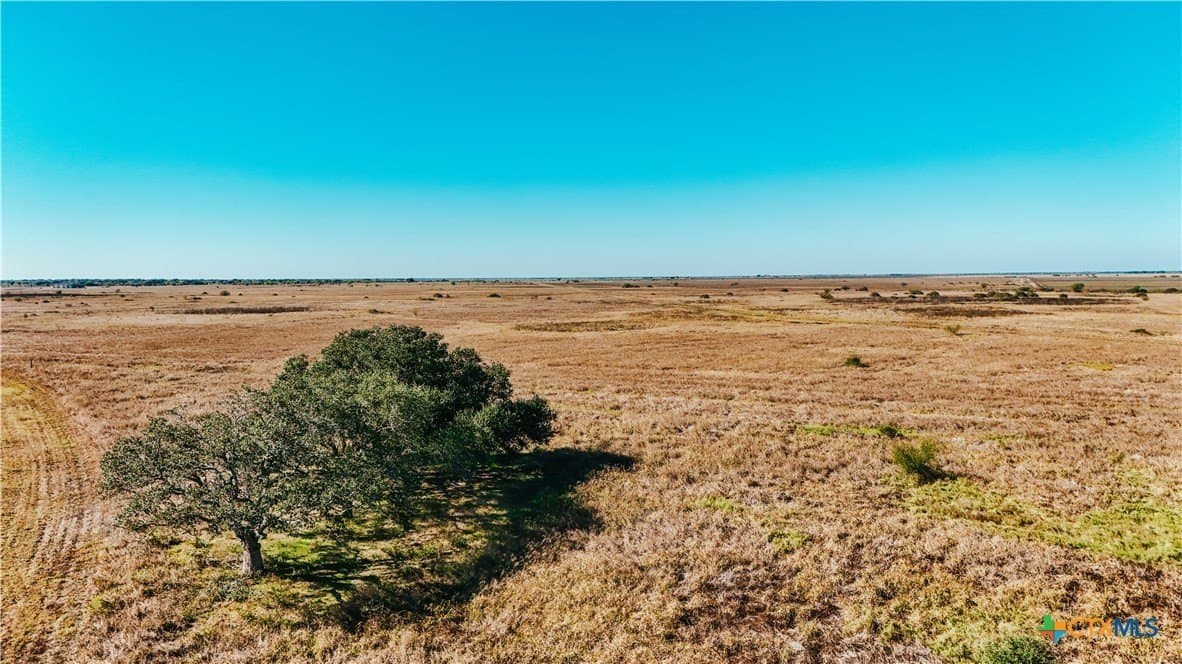 65.29 acres in Victoria County - photo 6